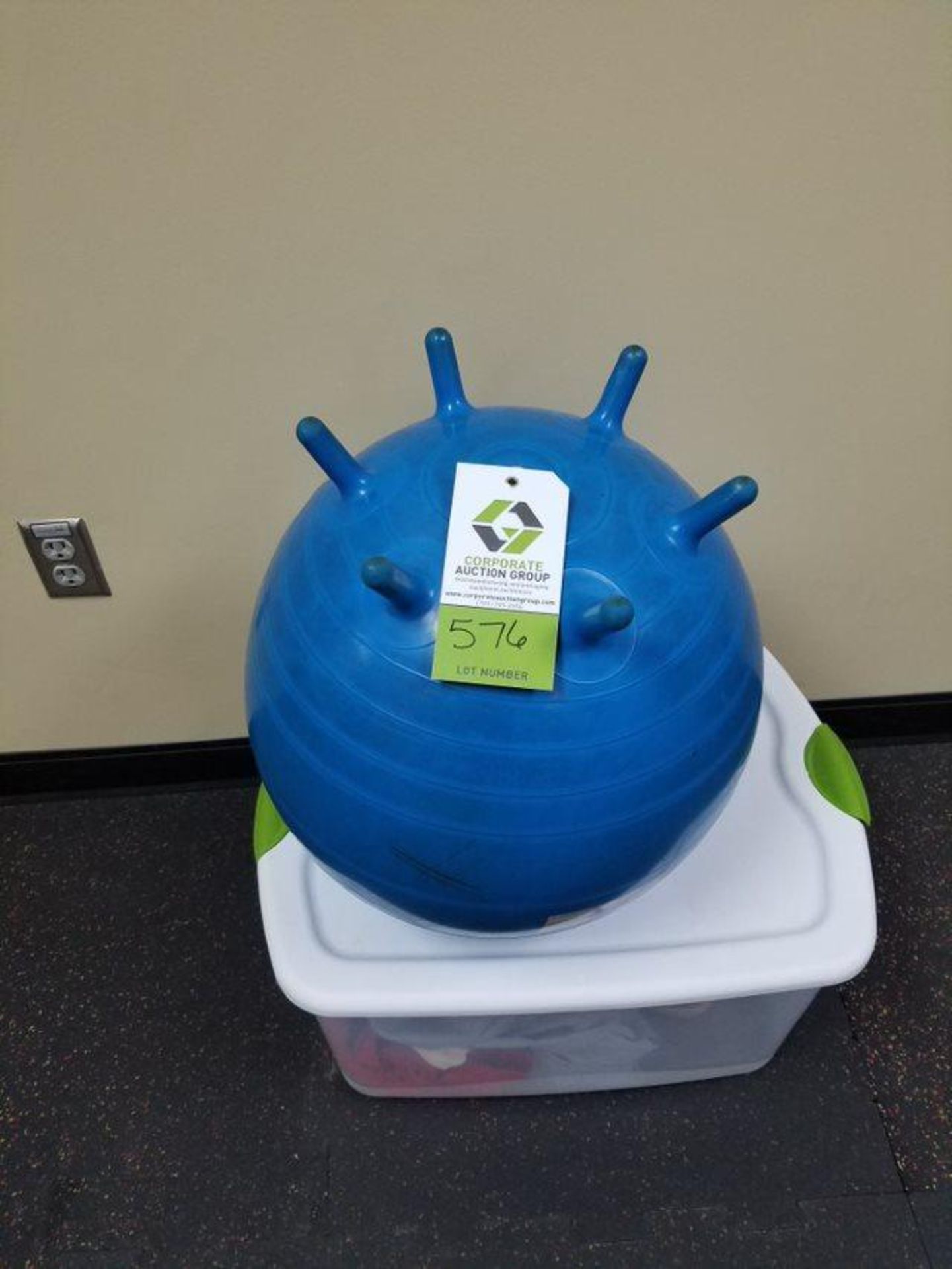 Manufacturer: - Blue Exercise Ball - Model Number: