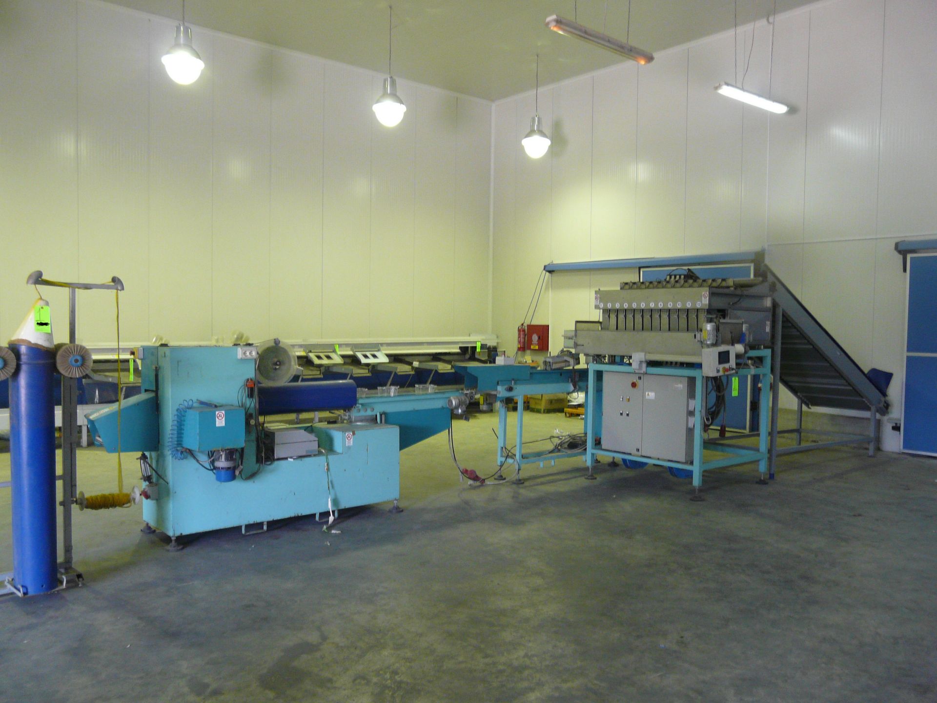 F.BSISTEM RFB-60 Fruit weighing and packing line - Location Greece