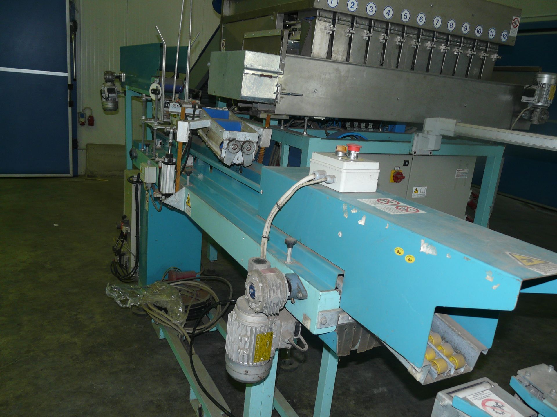 F.BSISTEM RFB-60 Fruit weighing and packing line - Location Greece - Image 11 of 19