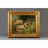 Henry Schouten (1857-1927): Sheep in a meadow, oil on canvas