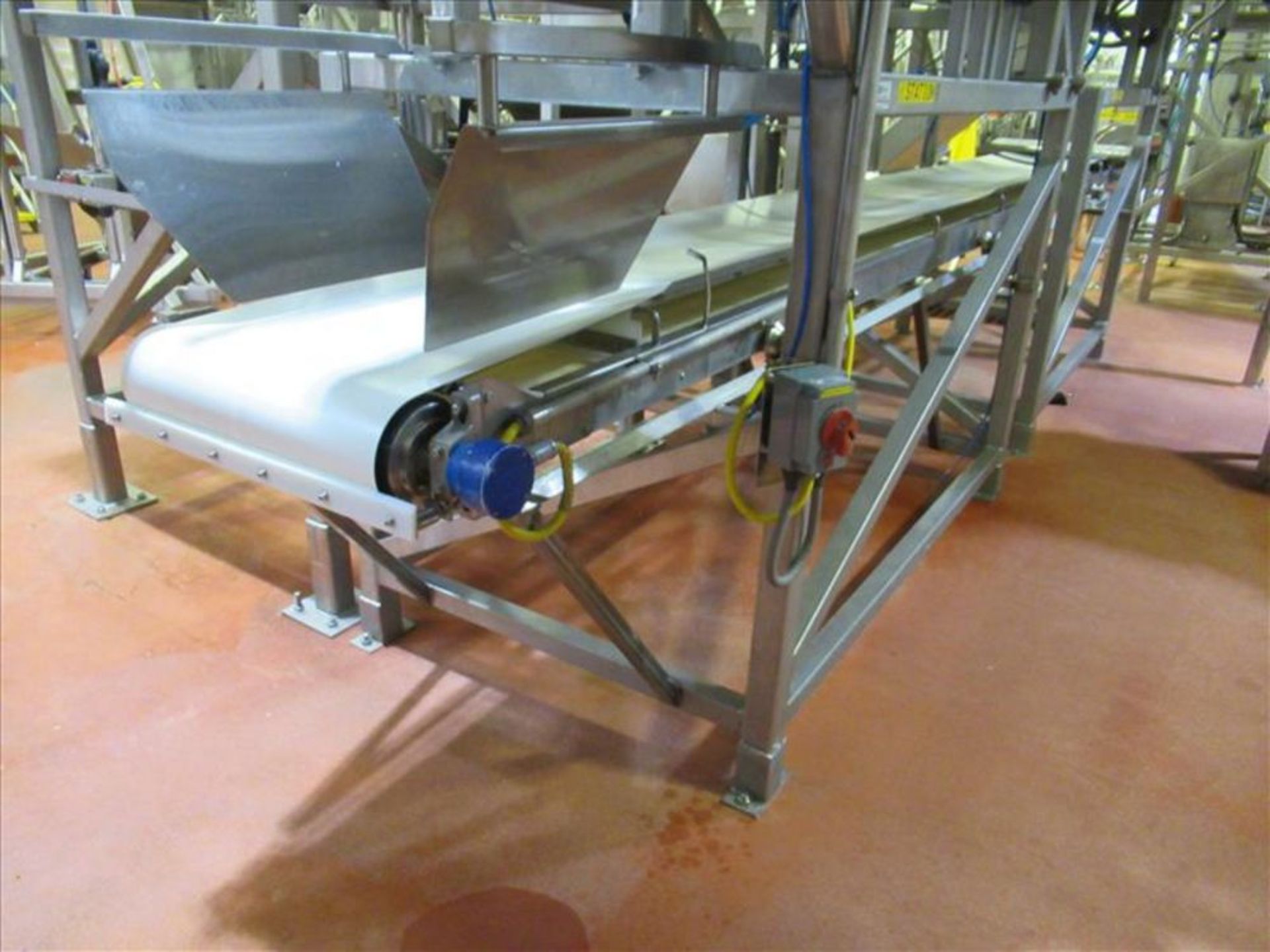 Shared flat belt conveyor approx 60 ft. L x 25 in. W with Habasit sanitary belt, stainless frame