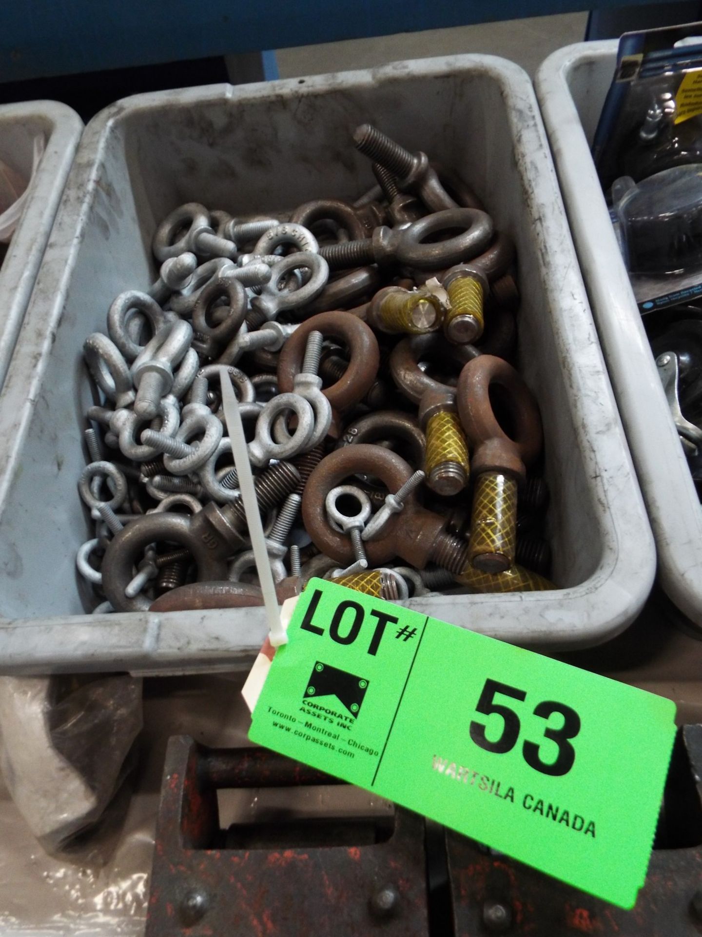 LOT/ EYE BOLTS