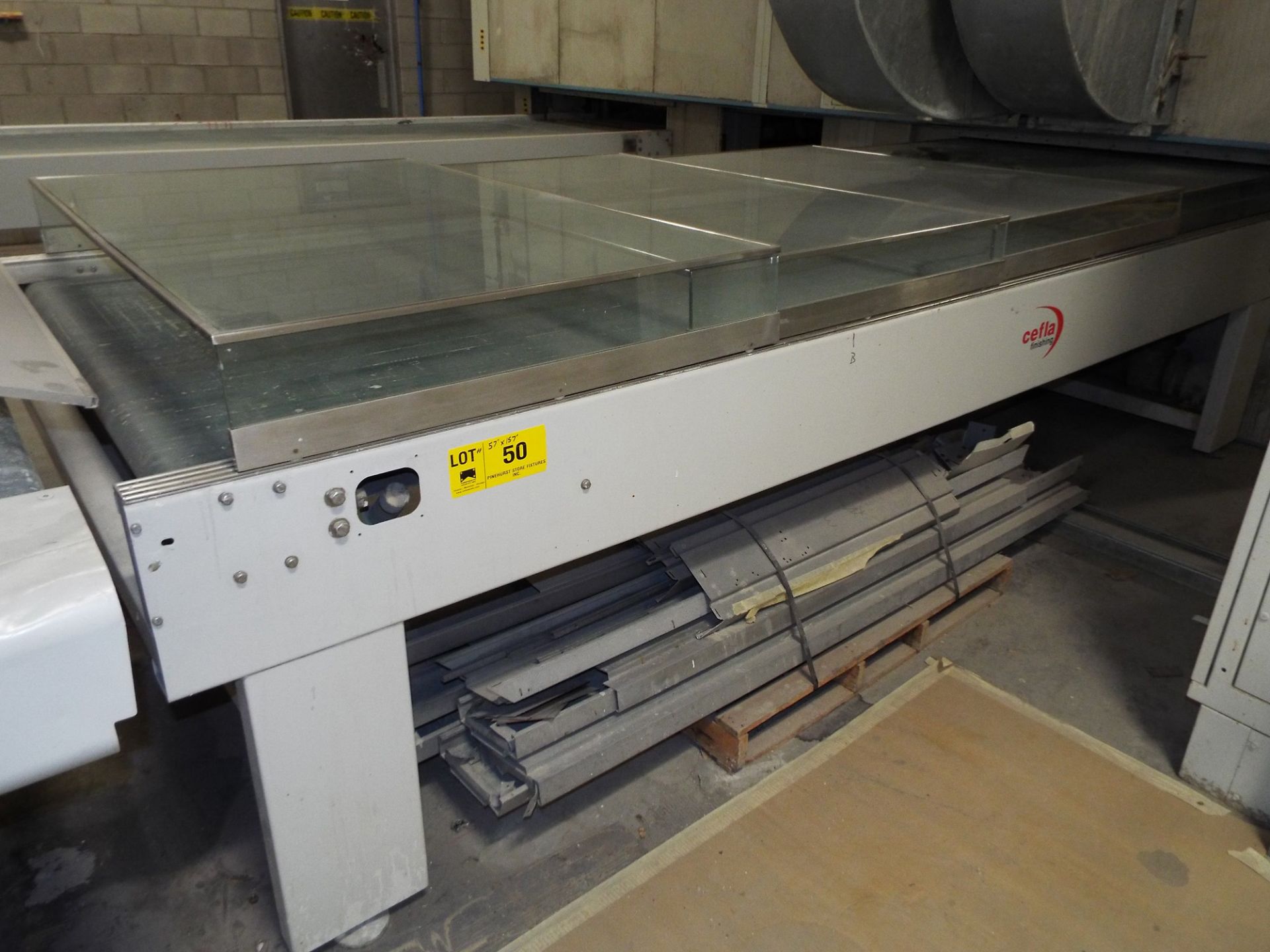 57"X157" SECTION OF TRANSFER CONVEYOR WITH ENCLOSURE, S/N: N/A