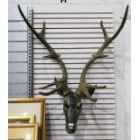 Reproduction model of a stag's head (VAT payable on hammer)