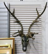 Reproduction model of a stag's head (VAT payable on hammer)