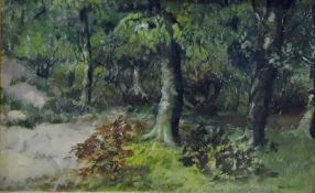 20th century school Oil on board Wooded river landscape, indistinctly signed lower right, 38.5cm x