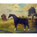 19th century English school Oil on canvas Study of horse in paddock, 50cm x 61cm (unframed)