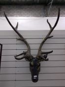 Reproduction model of a stag's head (VAT payable on hammer)