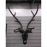 Reproduction model of a stag's head (VAT payable on hammer)