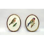 Pair of Goebel wall plaques, one decorated with gold finch, the other with robin, both hand-