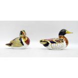 Royal Crown Derby porcelain 'Carolina' duck paperweight with button to base and a Royal Crown