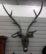 Reproduction model of a stag's head (VAT payable on hammer)