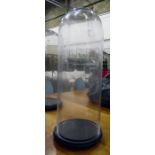 Glass dome on stand