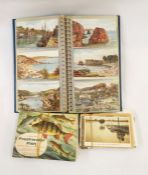 Blue album of 20th century topographical postcards, Salmon series and others, quantity of loose