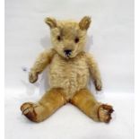 Golden plush teddy bear with stitched nose and glass eyes, c.1928-1930, 52cm tall (pads worn and