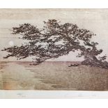 20th century  Limited edition colour print  Tree in landcape, 43/100, indistinctly signed in