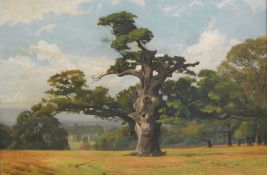 T Price(?) (20th century) Oil on board Oak in field, indistinctly signed lower right, 34cm x 49cm