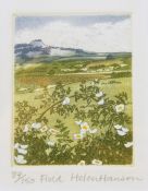 Helen Hanson Limited edition colour engraving "Field", 87/150 S Parkison  Artists proof print "Noah"