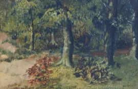 20th century school Oil on board Wooded river landscape, indistinctly signed lower right, 38.5cm x