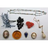 Quantity of costume jewellery including a horn brooch in the form of a bunch of grapes, a painted
