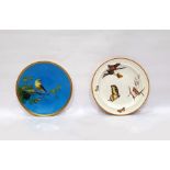 Victorian Minton cabinet plate on turquoise ground hand-painted with bird on oak tree branch, 24cm