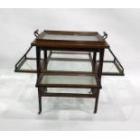 Late 19th/early 20th century tray-top trolley with four fold-out sides to the body, above an