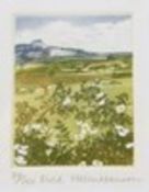 Helen Hanson  Limited edition colour engraving "Field", 87/150 S Parkison Artists Proof print "Noah"