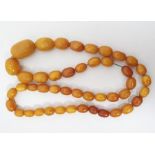 Amber graduated bead necklace, the largest bead approx 3cm long