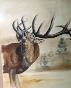 Pastel drawings Three studies of a roaring stag al