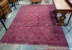 Eastern red ground rug with 28 elephant foot guls arranged in four rows, multi-margin border,