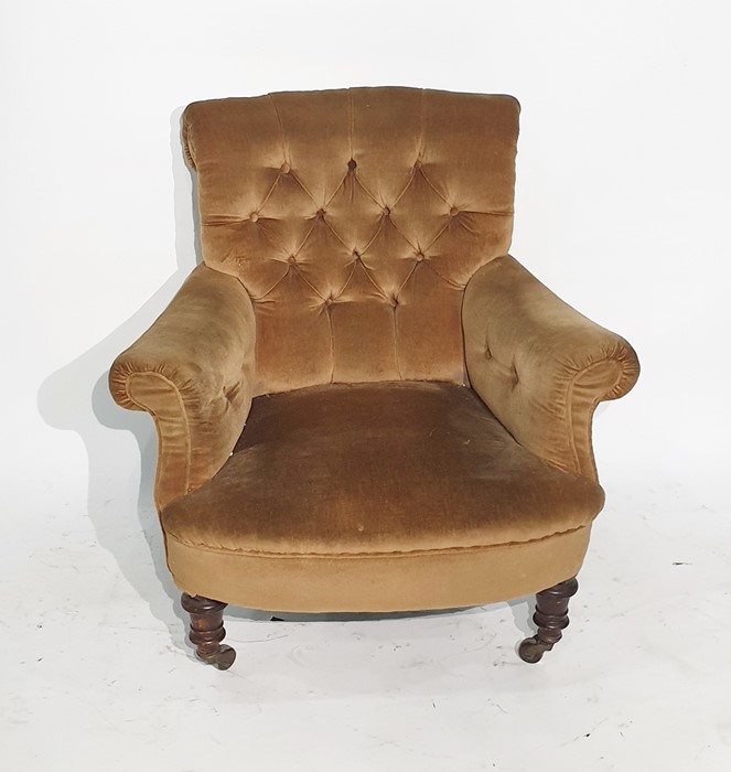 Late Victorian low armchair in a brown button-back