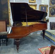 Bluthner of Leipzig rosewood cased ballroom grand piano, marked to interior 'Aliquot Piano Patent'