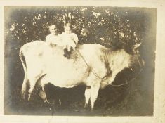 Late 19th century and Early 20th century photographs - young girl 'Emmie' posing as a ballerina,