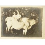 Late 19th century and Early 20th century photographs - young girl 'Emmie' posing as a ballerina,