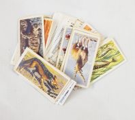 Collection of mainly tea and cigarette cards on assorted subjects, to include aircraft, wildlife,