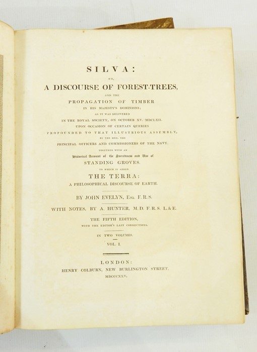 Evelyn, John  "Silva: or a discourse of forest trees ... to which is added the terra, a - Image 3 of 3