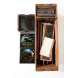 Quantity of magic lantern slides to include slide prints of animals, eg rhino, hippo, bears,