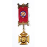 9ct gold and enamel Royal Antediluvian Order of Buffaloes medal, the buffalo with ruby cabochon