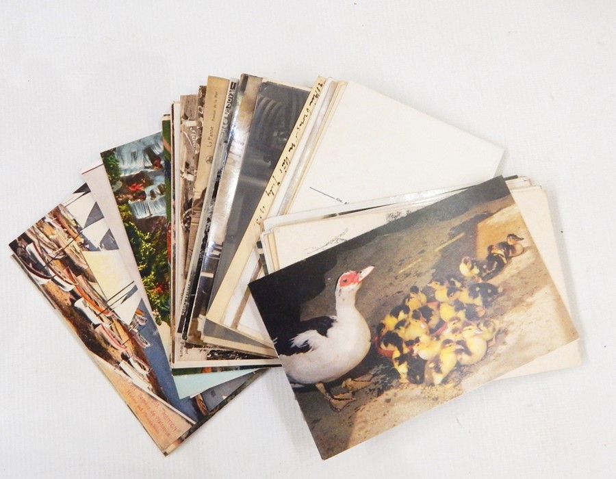 Box of assorted miscellaneous postcards