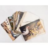 Box of assorted miscellaneous postcards