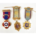 Three RAOB silver gilt and enamel medals with ribbons and clasps, various (3)