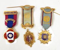 Three RAOB silver gilt and enamel medals with ribbons and clasps, various (3)
