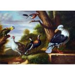 20th century study in the 18th century manner Oil on board Various exotic birds, signed indistinctly