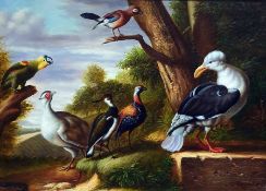20th century study in the 18th century manner Oil on board Various exotic birds, signed indistinctly