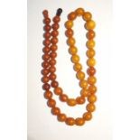 Graduated single row of amber beads, 76cm long, la