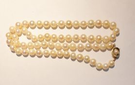 Cultured pearl necklace, single-strand and the gold-coloured pearl set clasp, 64cm long