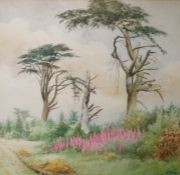 Wippell Watercolour  Trees in landscape, signed and dated 1946 lower right, 25cm x 25cm