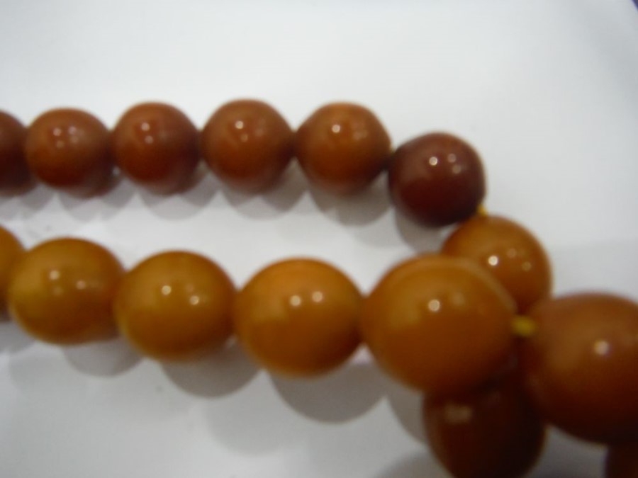 Graduated single row of amber beads, 76cm long, la - Image 4 of 6