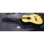 Acoustic guitar in case