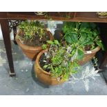Two terracotta stone garden planters and another (3)